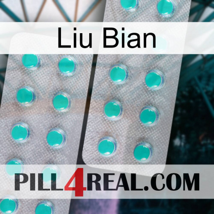 Liu Bian 29